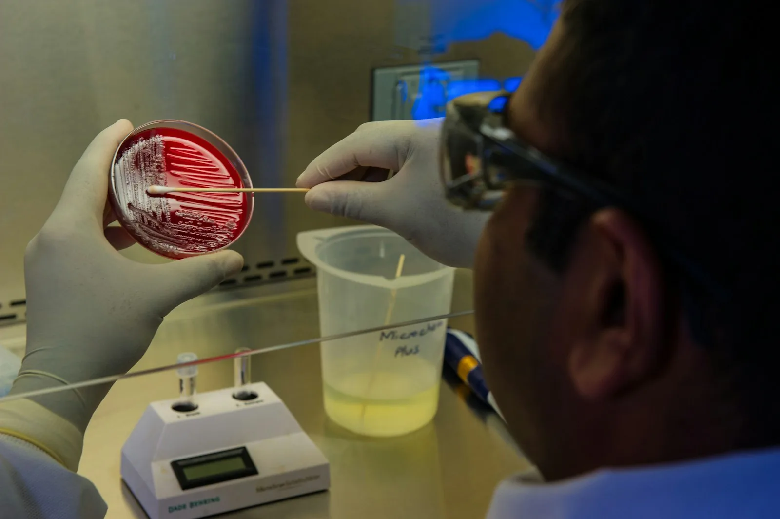 Por que estudar microbiologia?