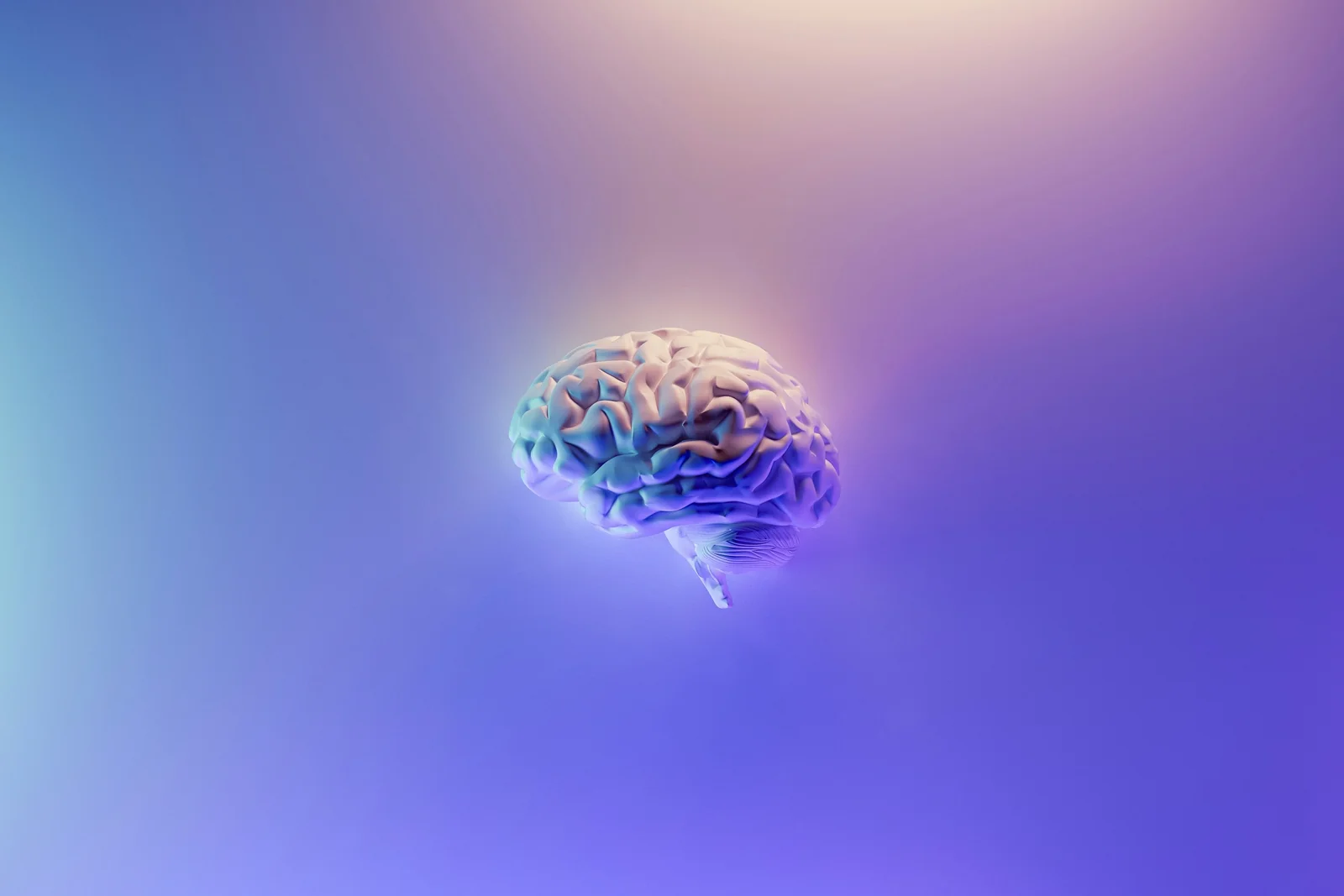MEC abre 5 mil vagas em curso gratuito de Neuroeducação para professores