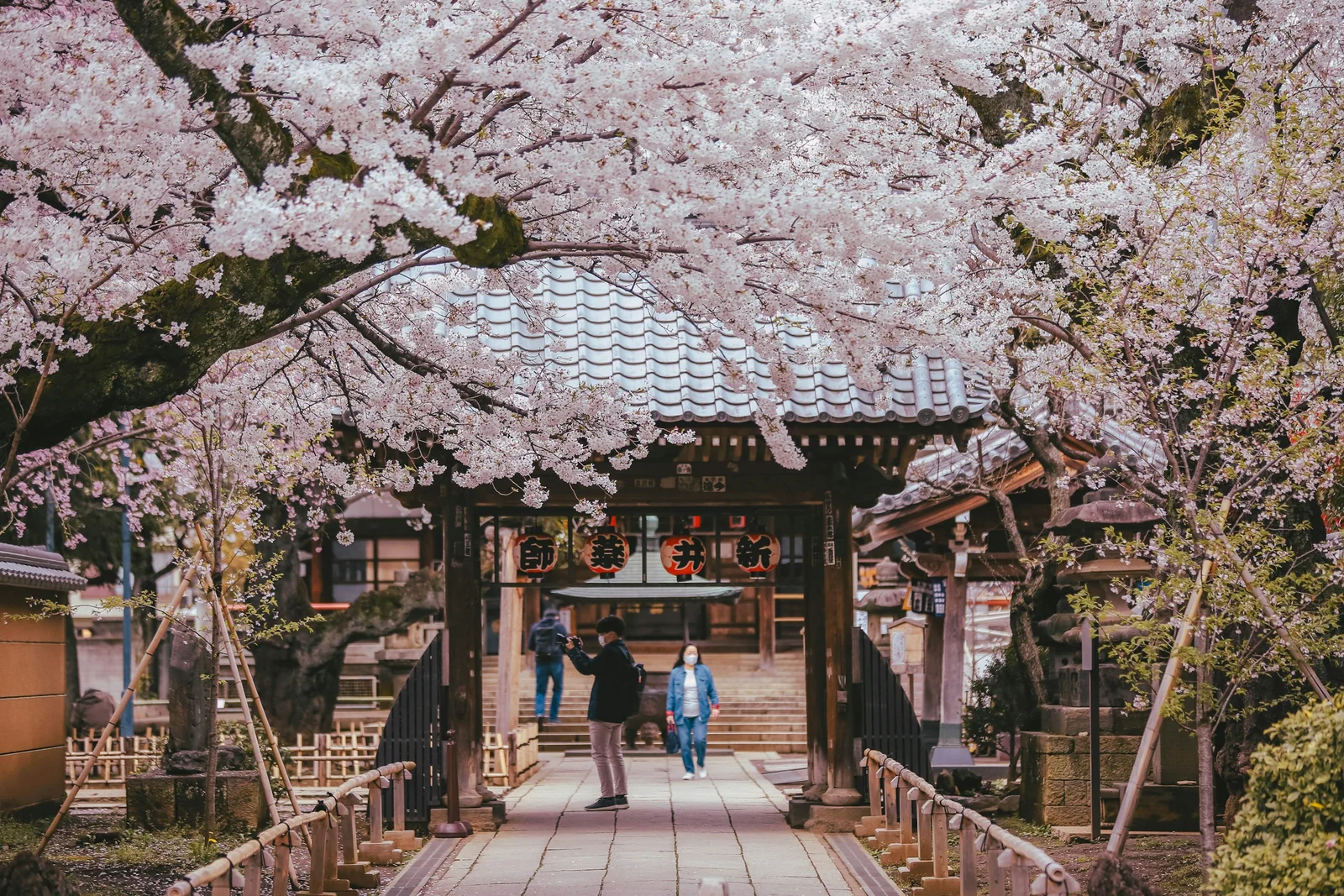 MEXT Japão aplica em 7 de julho prova da bolsa de Graduação 2027 para brasileiros