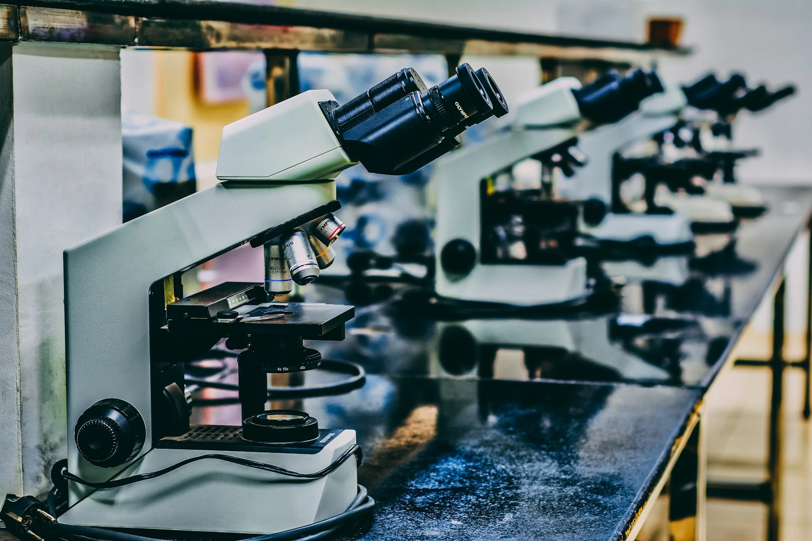 Fiocruz abre inscrições para pós-graduação gratuita em Ensino em Biociências e Saúde com prazo em 17 de julho