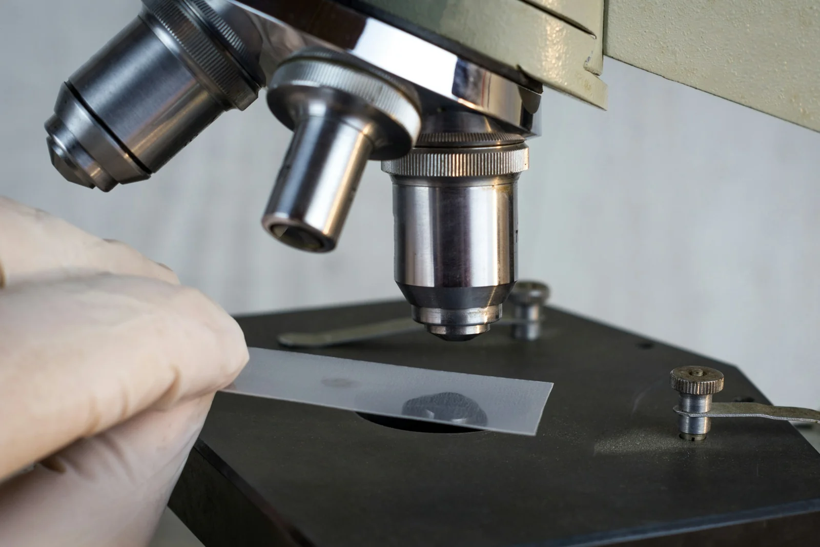 OBB 2026 divulga resultado da 1ª fase em agosto e prepara 2ª fase em setembro na Olimpíada Brasileira de Biologia