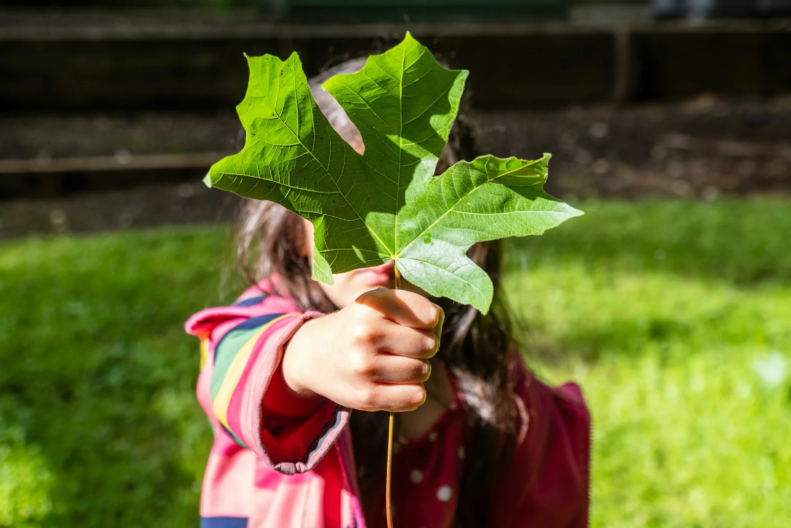 MEC institui Política Nacional de Educação Ambiental Escolar por portaria